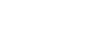 world wide web